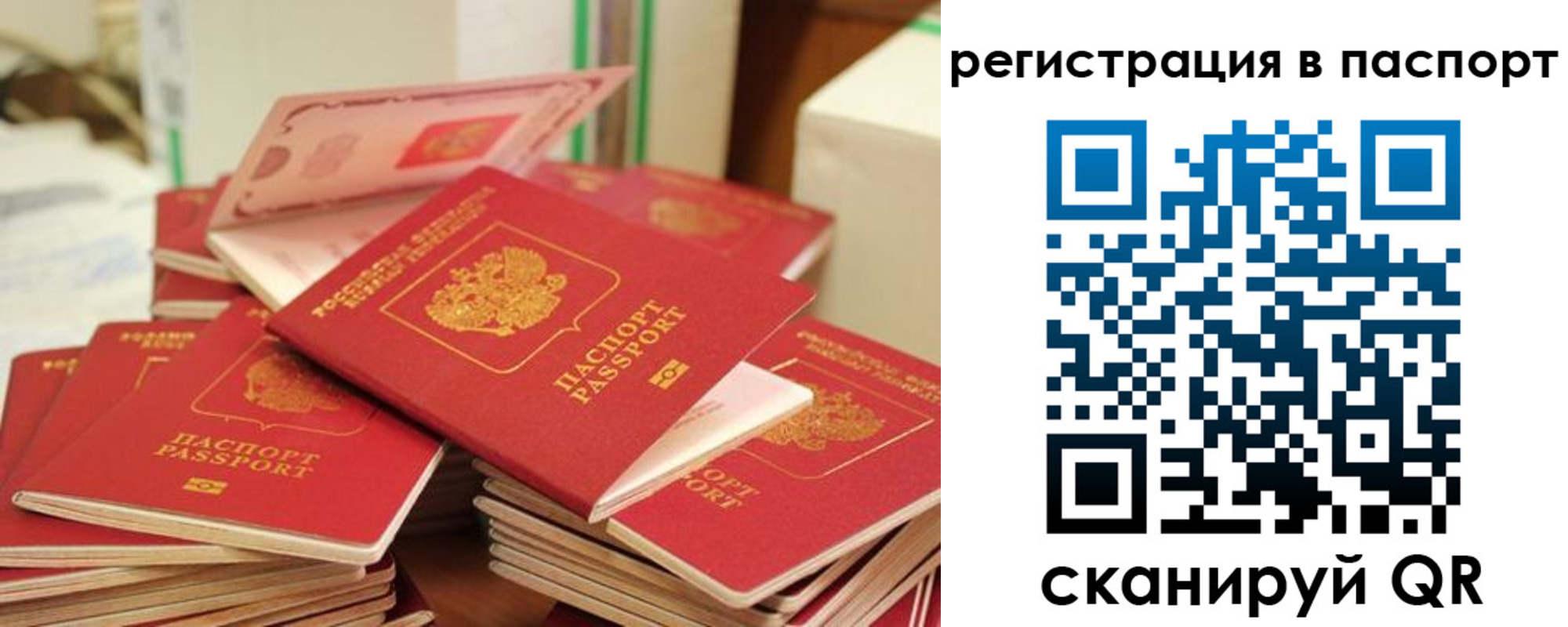 временная регистрация купить в Зеленоградске